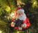 Glass Santa Christmas Tree Ornament