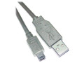 PROMASTER DataFast USB USBA-Mini5 6 ft. Cable