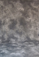 SystemPro 10'x20' Backdrop-Lt Grey Cloud Patterned Muslin image