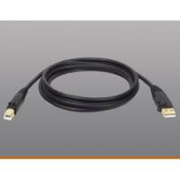 Tripp Lite USB 2.0 Cable (USB-A/USB-B M/M) 10 ft  image
