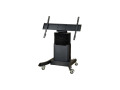 Newline Motorized Mobile Stand