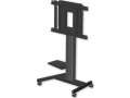 Promethean AP-FSM Fixed Height Mobile Stand