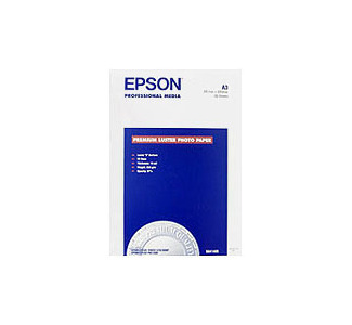 EPSON 17