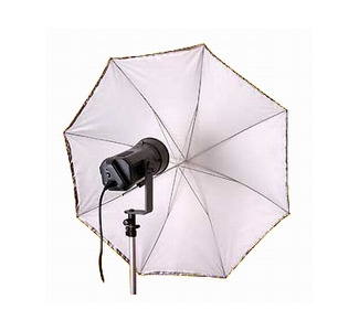 Promaster SystemPRO Umbrella 30