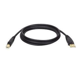 Tripp Lite USB Gold Cable, AB, 15ft