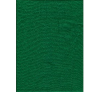 Promaster Solid Backdrop - 6' x 10' - Chromakey Green #9367 