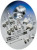 SHARP ANXR10LP/1 Lamp Module f/XR-10S/X