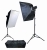 ProMaster PL400 Advanced LCD Control 2-Light Studio Kit 