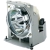Viewsonic RLC-090 Replacement Lamp