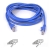 Belkin Cat6 Patch Cable