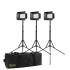 MYLO Mini Bi-color 3-point LED Light Kit with 3 x MB4, Includes DV Batteries Stands and Bag
