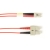 OM1 62.5/125 Multimode Fiber Patch Cable OFNR PVC SC-LC RD 5M