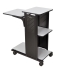 4 Work Surfaces Mobile Presentation Station, Gray