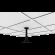 Alternate View
