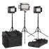 MYLO Small Bi-color 3-point LED Light Kit with 1 x MB8 + 2 x MB4, Includes Stands and Bag