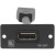 Kramer W-DP(W) Faceplate Insert