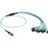 1m MTP OM3 Fiber Optic Harness Cable Plenum 12-Strand