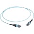 1m MTP OM3 Fiber Optic Trunk Cable Plenum 12-Strand Type A