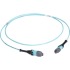 15m MTP OM3 Fiber Optic Trunk Cable Plenum 12-Strand Type A