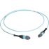 5m MTP OM3 Fiber Optic Trunk Cable Plenum 12-Strand Type A