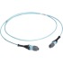 10m MTP OM3 Fiber Optic Trunk Cable Plenum 12-Strand Type A