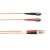 OM2 50/125 Multimode Fiber Optic Patch Cable OFNR PVC ST-LC OR 2M