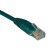 Cat5e 350MHz Snagless Molded Patch Cable (RJ45 M/M) - Green, 15-ft.