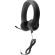 Alternate View