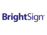 BrightSign BSNSUB-12-SB 1 Year Player Subscription