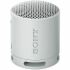 Sony XB100 Portable Bluetooth Speaker System - Gray