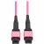 Tripp Lite by Eaton N845B-01M-12MTA Fiber Optic Network Cable