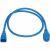 Eaton Tripp Lite Series Power Cord, C14 to C21 - Heavy-Duty, 15A, 250V, 14 AWG, 2 ft. (0.6 m), Blue