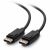 1 ft DisplayPort Cable with Latches 8K UHD M/M, Black