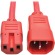 Alternate View