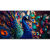 Newline STV-8524-Plus 85in. STV+ Smart TV, UHD 4K, Built In Wifi, Digital