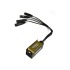 Whirlwind CT-M Catdusa - Fanout, 4 Ch, Cat5e Ethercon to (4) XLRM, 1.5 Feet