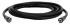 Comprehensive Phono RCA Plug to Plug 10' Video