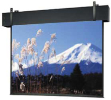 Da-Lite Professional Electrol 16x16 ft. Matte White image