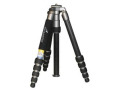 Systempro T525P Carbon Fiber Tripod with out head