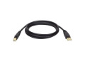 Tripp Lite USB Gold Cable, AB, 15ft
