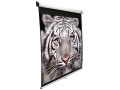 Elite Screens Manual Pull Down Projection Screen