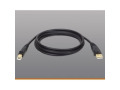 Tripp Lite USB 2.0 Cable (USB-A/USB-B M/M) 10 ft 