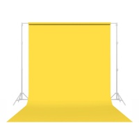 Savage 107" x 36' Canary Background Paper image