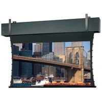 Da-Lite Tensioned Professional Electrol Projection Screen image