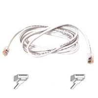 Belkin Cat6 Cable - White - 3ft image
