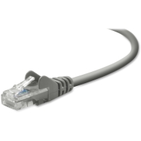 Belkin Cat.5e Patch Cable image