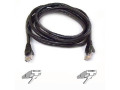 Belkin Cat6 Cable