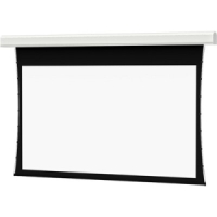 Da-Lite Tensioned Large Advantage Deluxe Electrol Projection Screen image