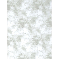 Promaster  Cloud Dyed Backdrop - 6' x 10' - Light Gray #9325 image
