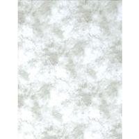 Promaster Cloud Dyed Backdrop - 10'' x 20'' - Light Gray image